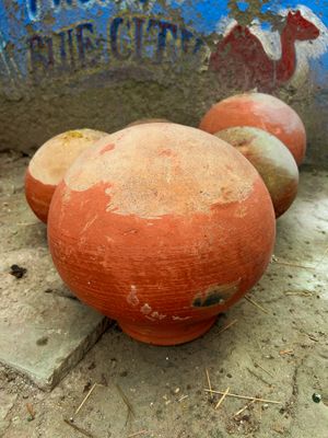 IMG_0272.jpeg