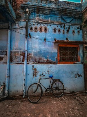 IMG_0168.jpeg
