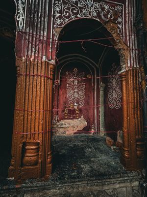 IMG_7618.jpeg