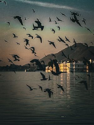 IMG_8755.jpeg