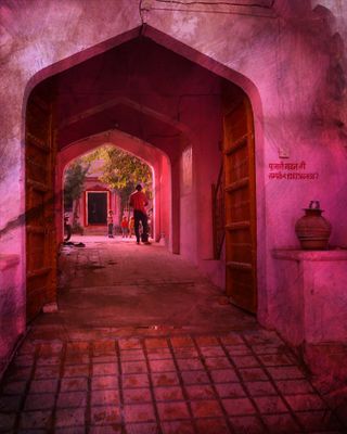IMG_5913.jpeg
