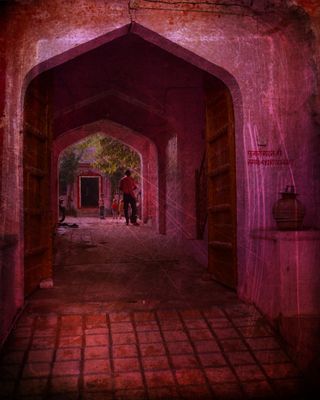 IMG_5910.jpeg
