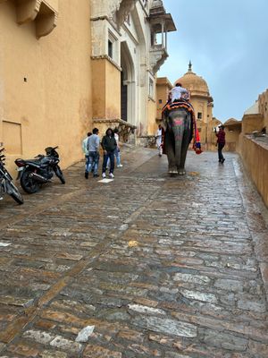 IMG_1081.jpeg