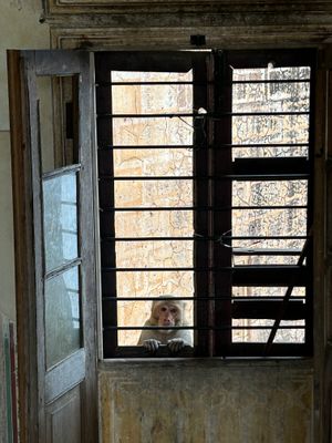 IMG_1002.jpeg