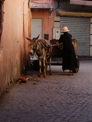 P1210284.jpeg