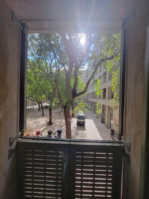 2025_pictures