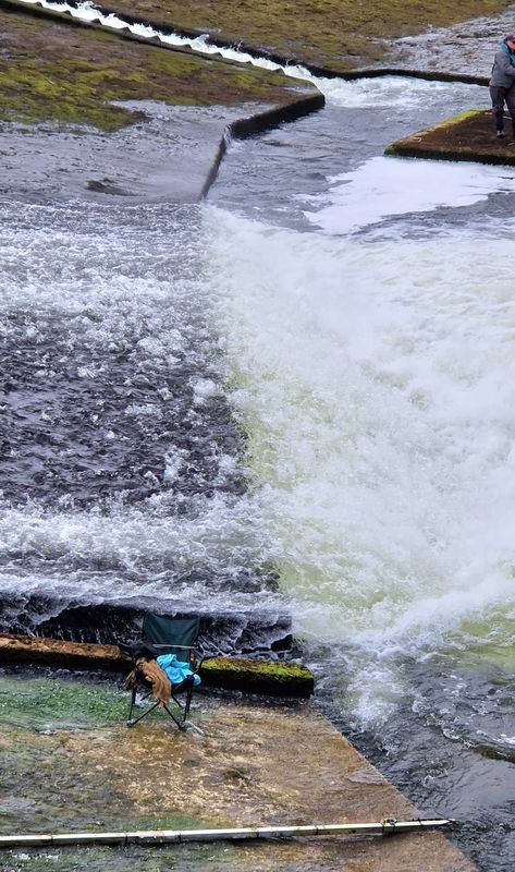 Salmon Weir Galway