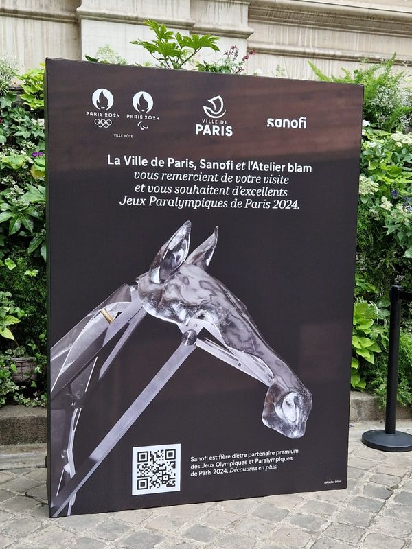 JO - ZEUS - Cheval Cérémonie - Hotel de ville de Paris