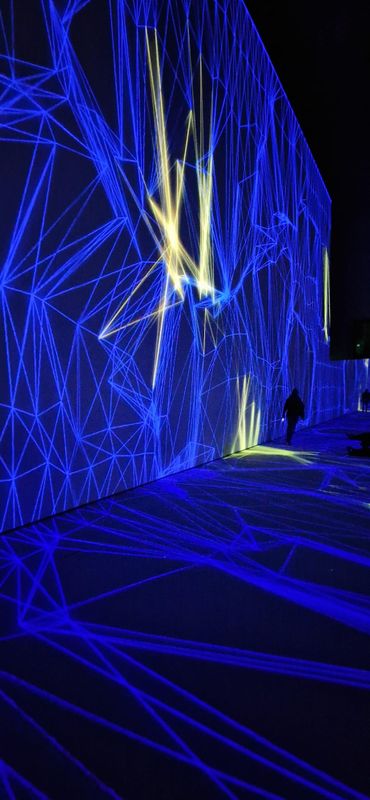 Pixel Grand Palais Immersif