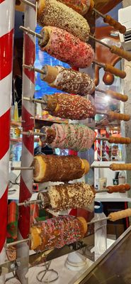 IMG-20230723-WA0181.jpg