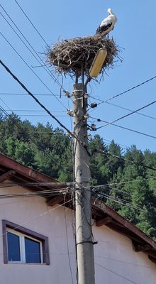 IMG-20230724-WA0097.jpg