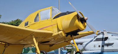IMG-20230726-WA0079.jpg