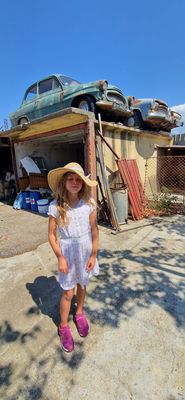 IMG-20230813-WA0034.jpg
