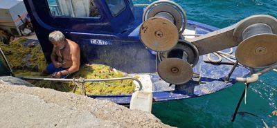 IMG-20230727-WA0046.jpg