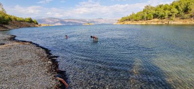 IMG-20230801-WA0083.jpg