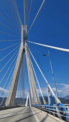 IMG-20230809-WA0012.jpg