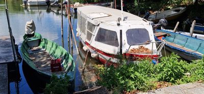 IMG-20230810-WA0028.jpg