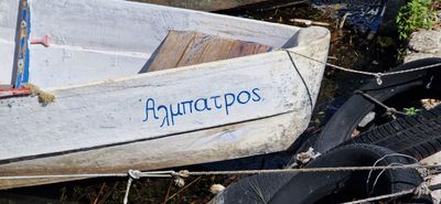 IMG-20230810-WA0050.jpg