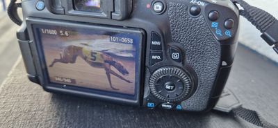 IMG-20240707-WA0014.jpg