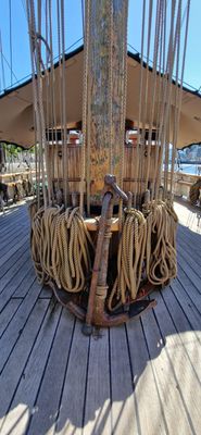IMG-20240708-WA0230.jpg