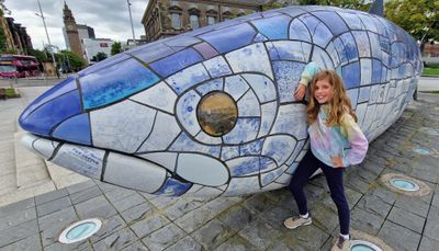 The big Fish Belfast