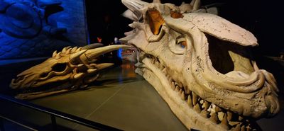 IMG-20240711-WA0150.jpg
