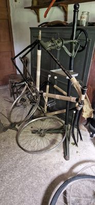 IMG-20240712-WA0204.jpg