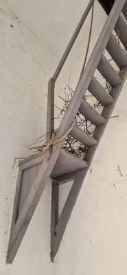 IMG-20240712-WA0235.jpg
