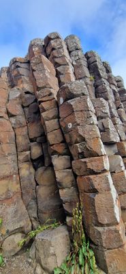 IMG-20240713-WA0154.jpg