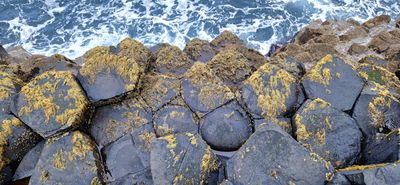 IMG-20240713-WA0228.jpg