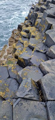 IMG-20240713-WA0229.jpg