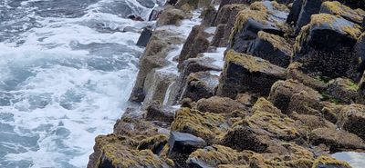 IMG-20240713-WA0233.jpg