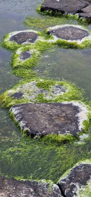 IMG-20240713-WA0236.jpg