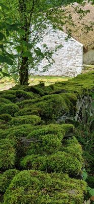 IMG-20240715-WA0013.jpg