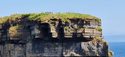 IMG-20240715-WA0207.jpg