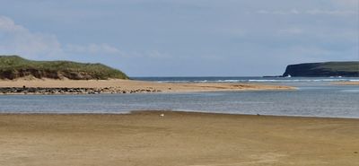 IMG-20240715-WA0241.jpg