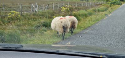 IMG-20240717-WA0086.jpg