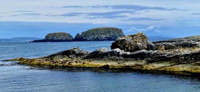 IMG-20240714-WA0001.jpg