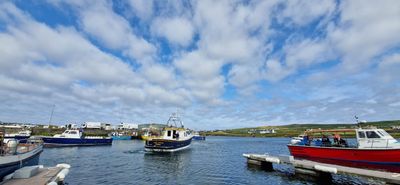 IMG-20240719-WA0135.jpg