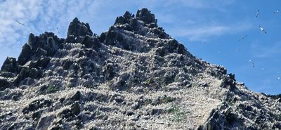 IMG-20240719-WA0161.jpg