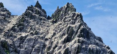 IMG-20240719-WA0171.jpg