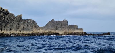 IMG-20240719-WA0186.jpg