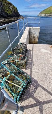IMG-20240721-WA0049.jpg