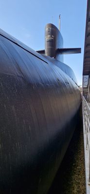 IMG-20240723-WA0291.jpg