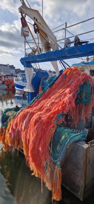 IMG-20240725-WA0003.jpg