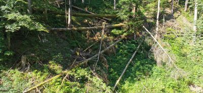 IMG-20220717-WA0023.jpg