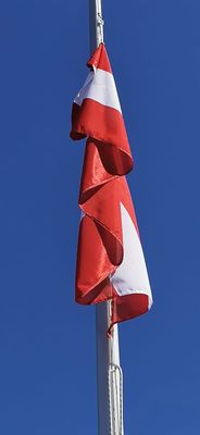 IMG-20220719-WA0001.jpg