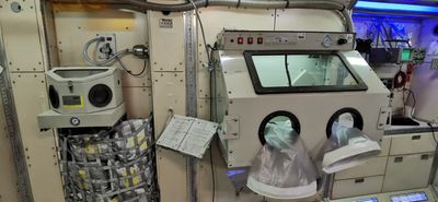 IMG-20220801-WA0046.jpg