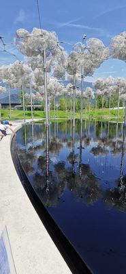 IMG-20220720-WA0061.jpg