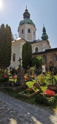 IMG-20220722-WA0115.jpg